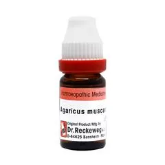 Dr. Reckeweg Agaricus Mus Mother Tincture Q (20ml) - India Drops