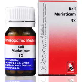 Dr. Reckeweg Kali Muriaticum (20 gms) - India Drops